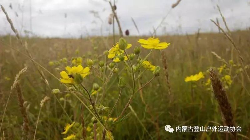 川西自驾游：一场说走就走的探险